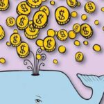 betting whale