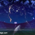 Psychology of Sports Betting